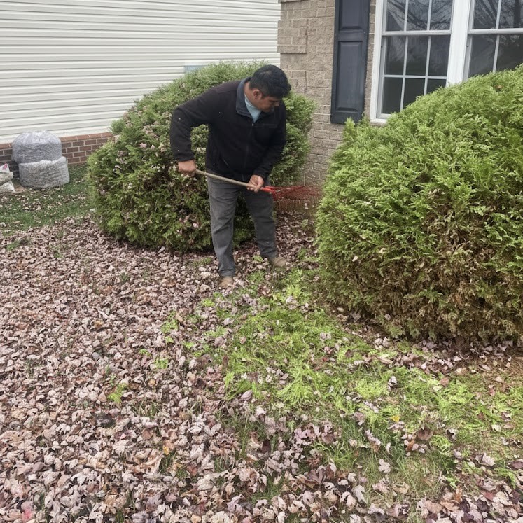spring fall cleanup