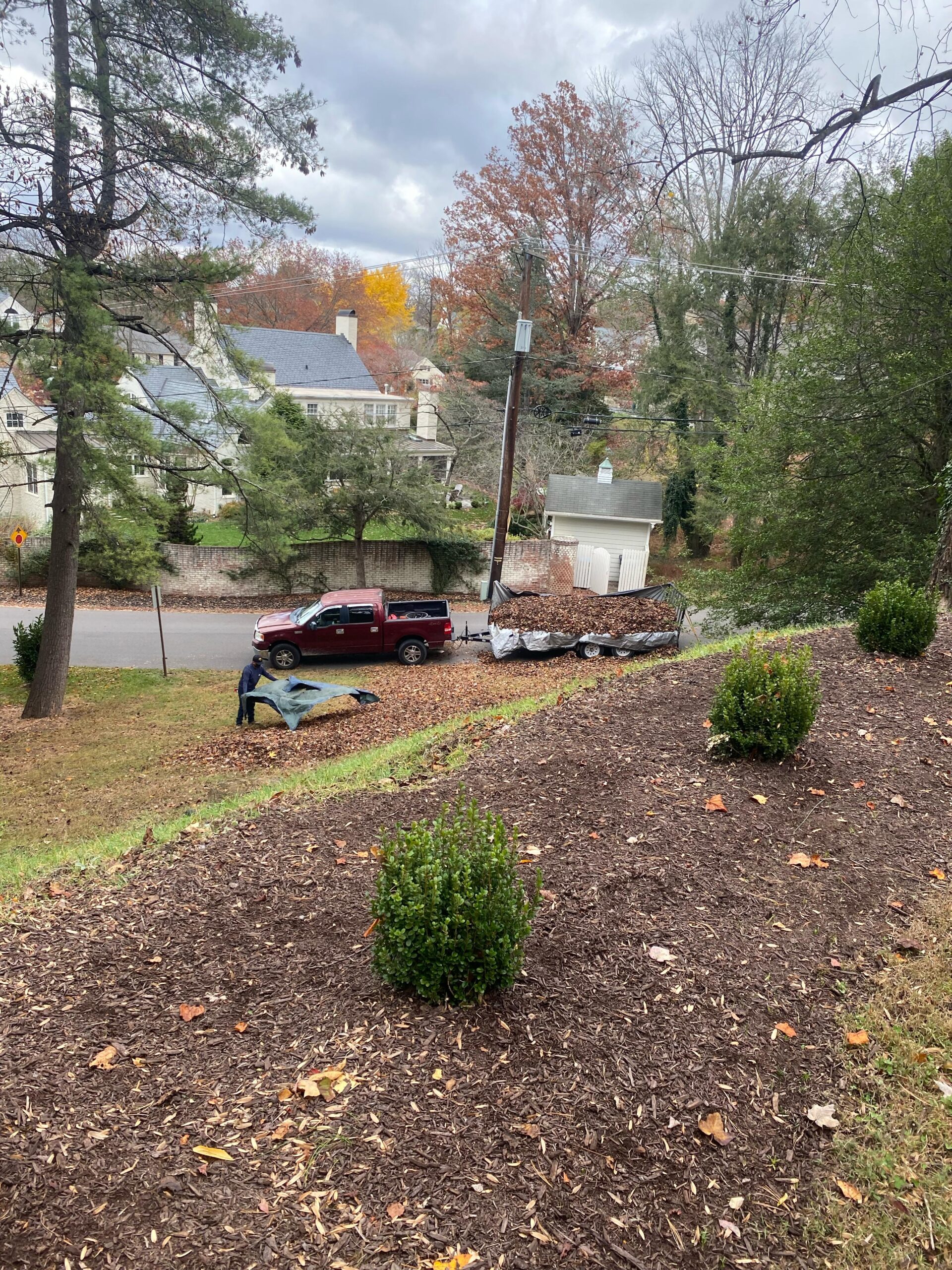 services cleanups
