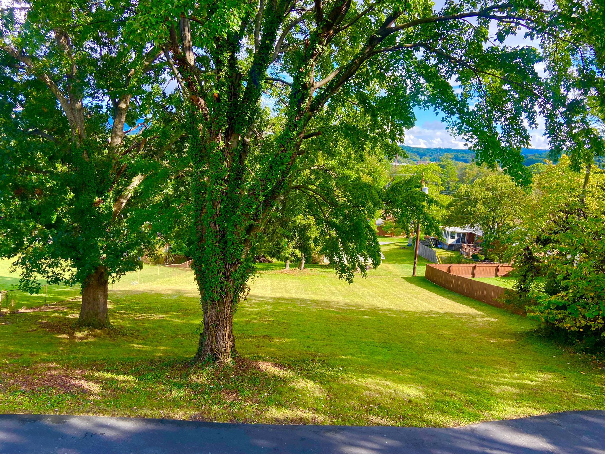 services lawn maintenance