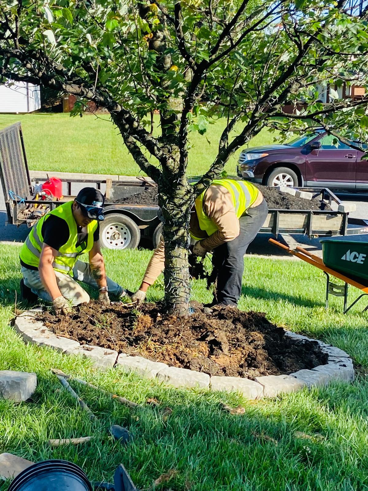 services mulching