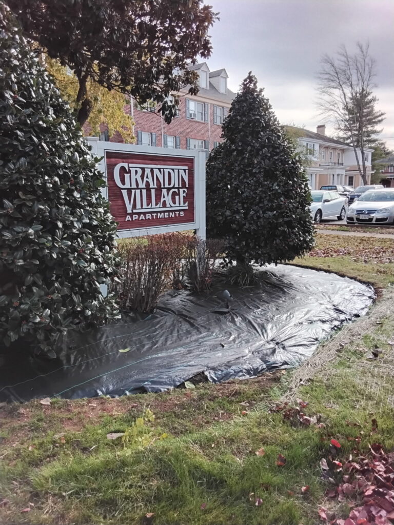 Professional fertilization and weed control treatment by Lopez Landscaping.