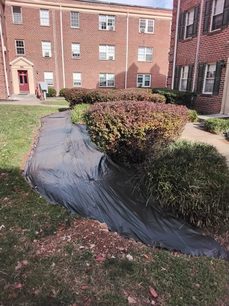 Core aeration and overseeding service for a healthy lawn in VA.