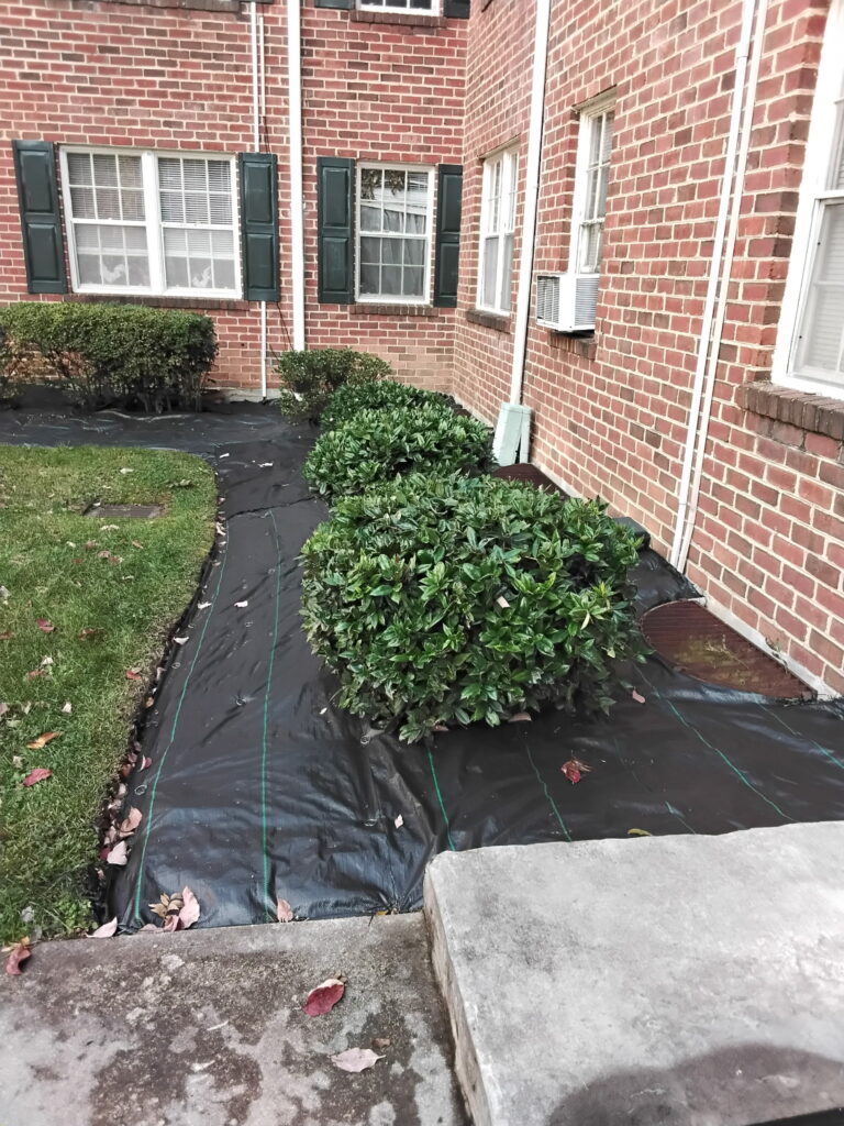 Core aeration and overseeding service for a healthy lawn in VA.
