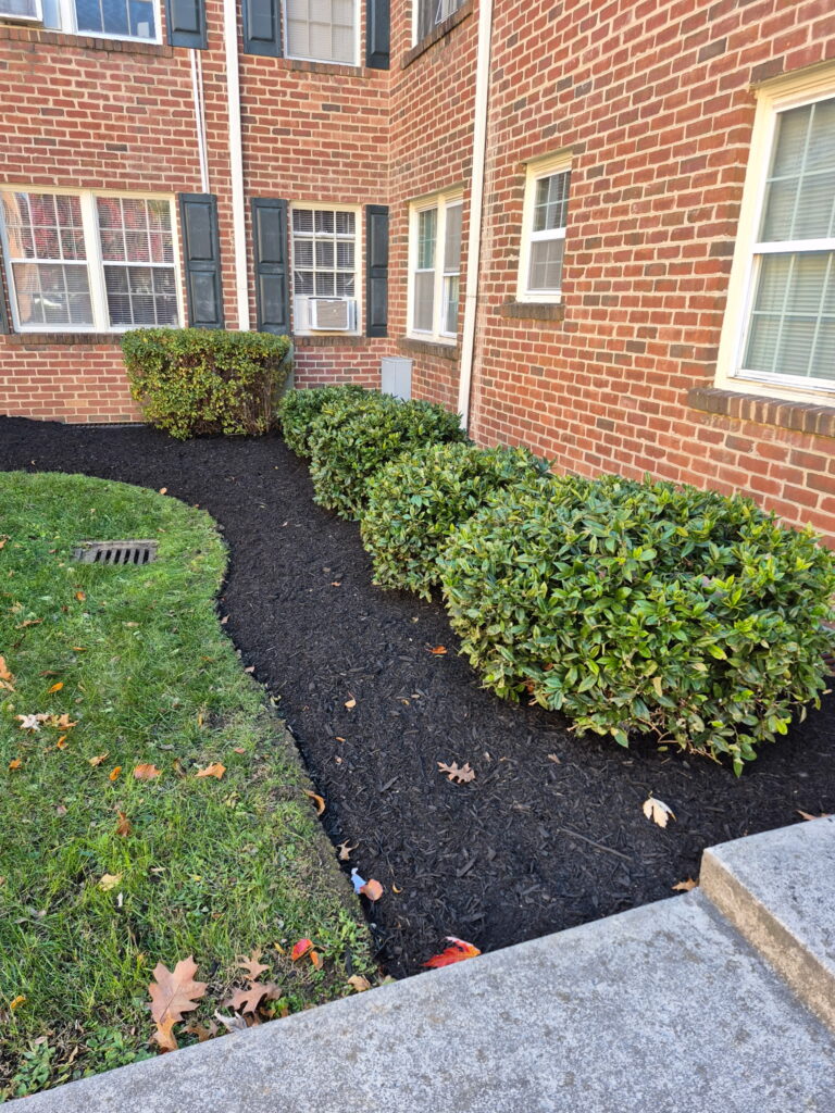 Fresh dark mulch installation and garden bed maintenance.