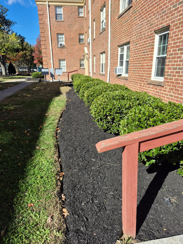 Fresh dark mulch installation and garden bed maintenance.