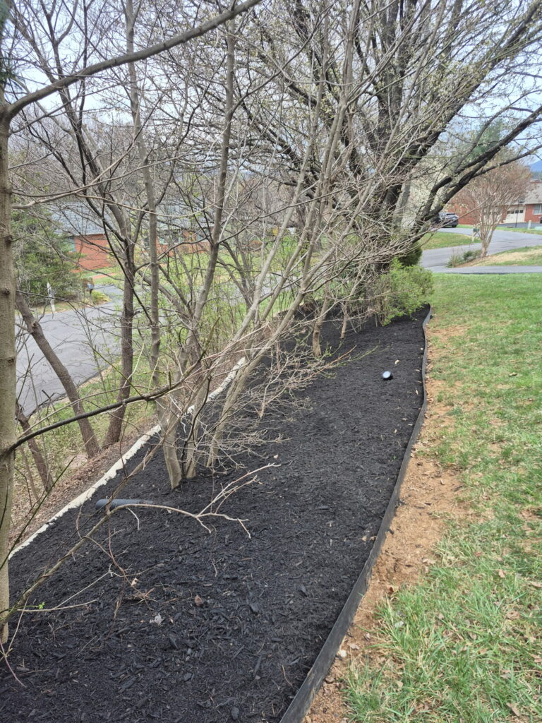 Fresh dark mulch installation and garden bed maintenance.