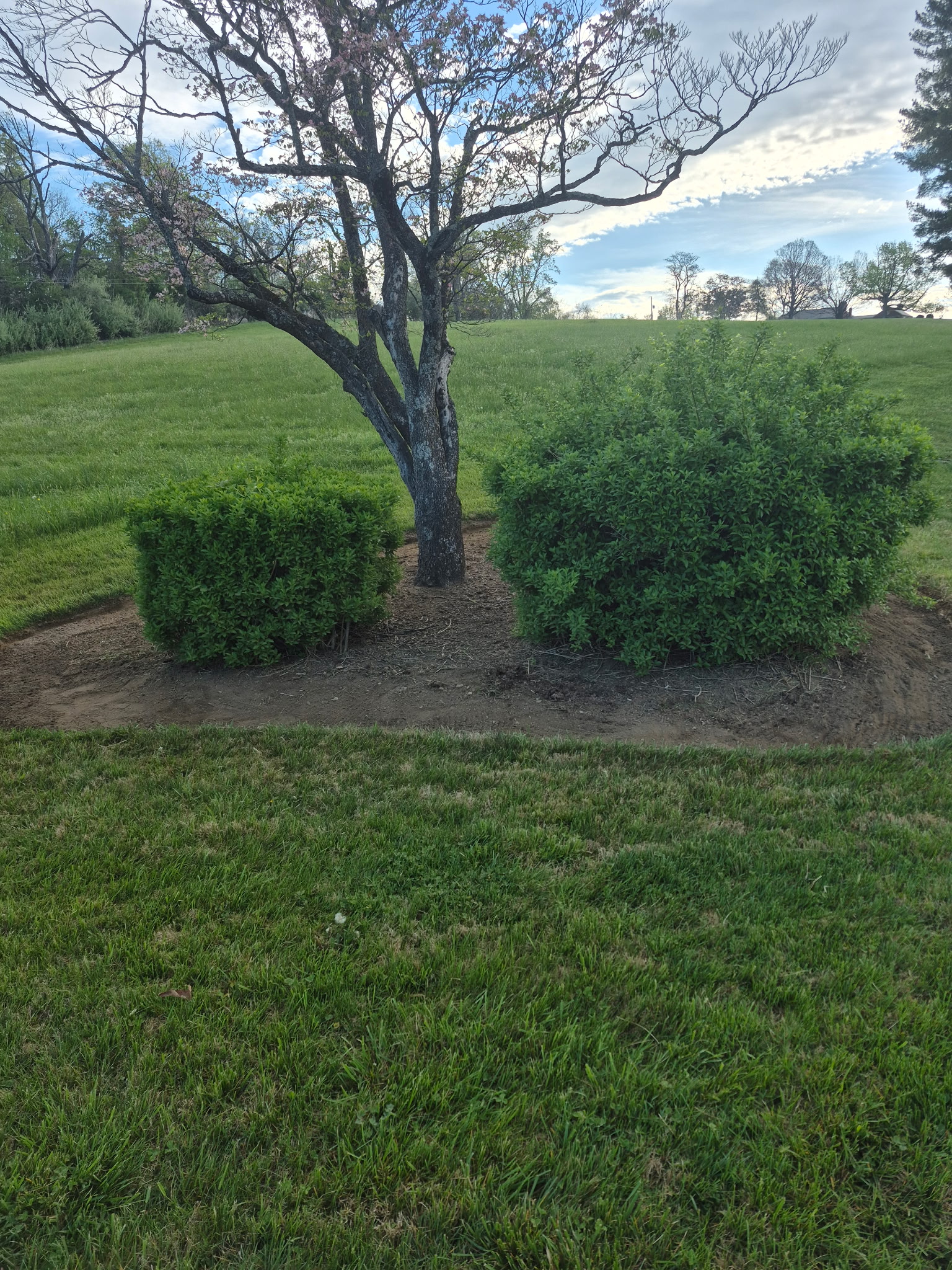 Precision lawn mowing and professional edging service in Roanoke.