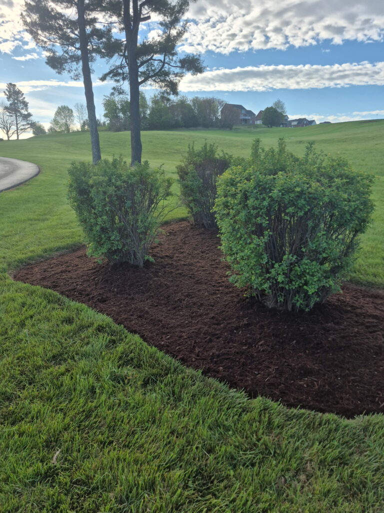 Mulch: Fresh dark mulch installation and garden bed maintenance.