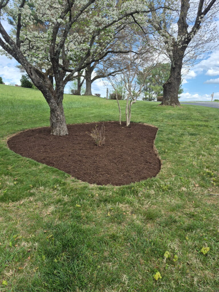 Outdoor living space and paver patio construction in the Roanoke Valley.