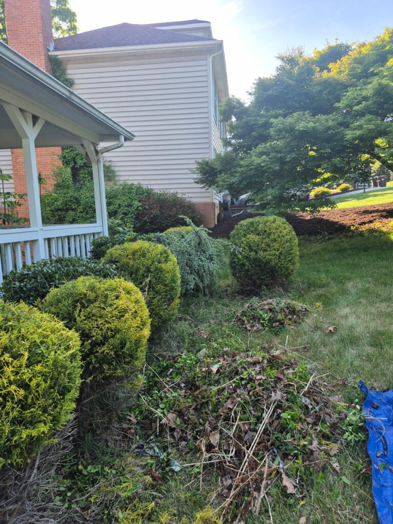 Spring landscape refresh and debris removal service.
