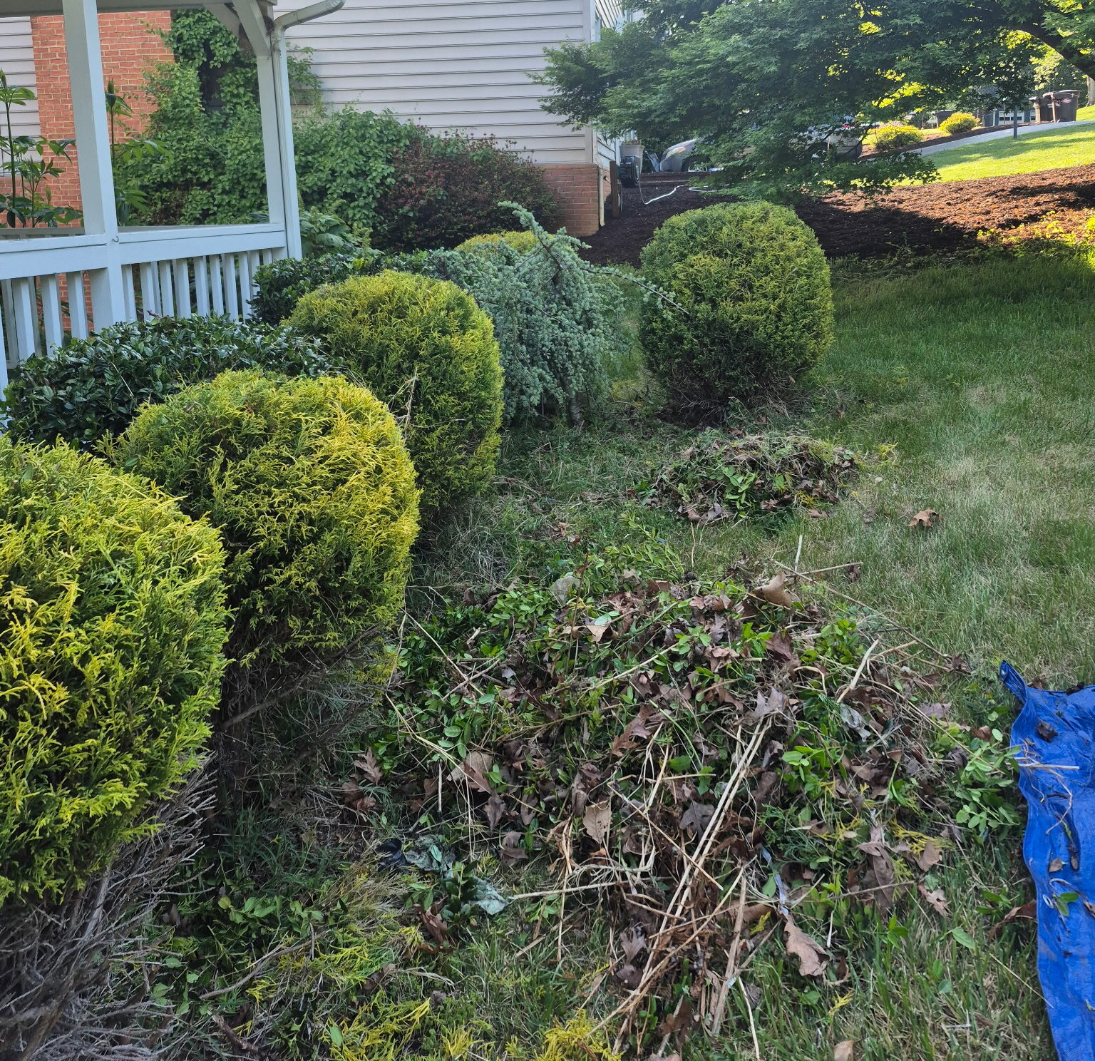 Spring/Fall Cleanup