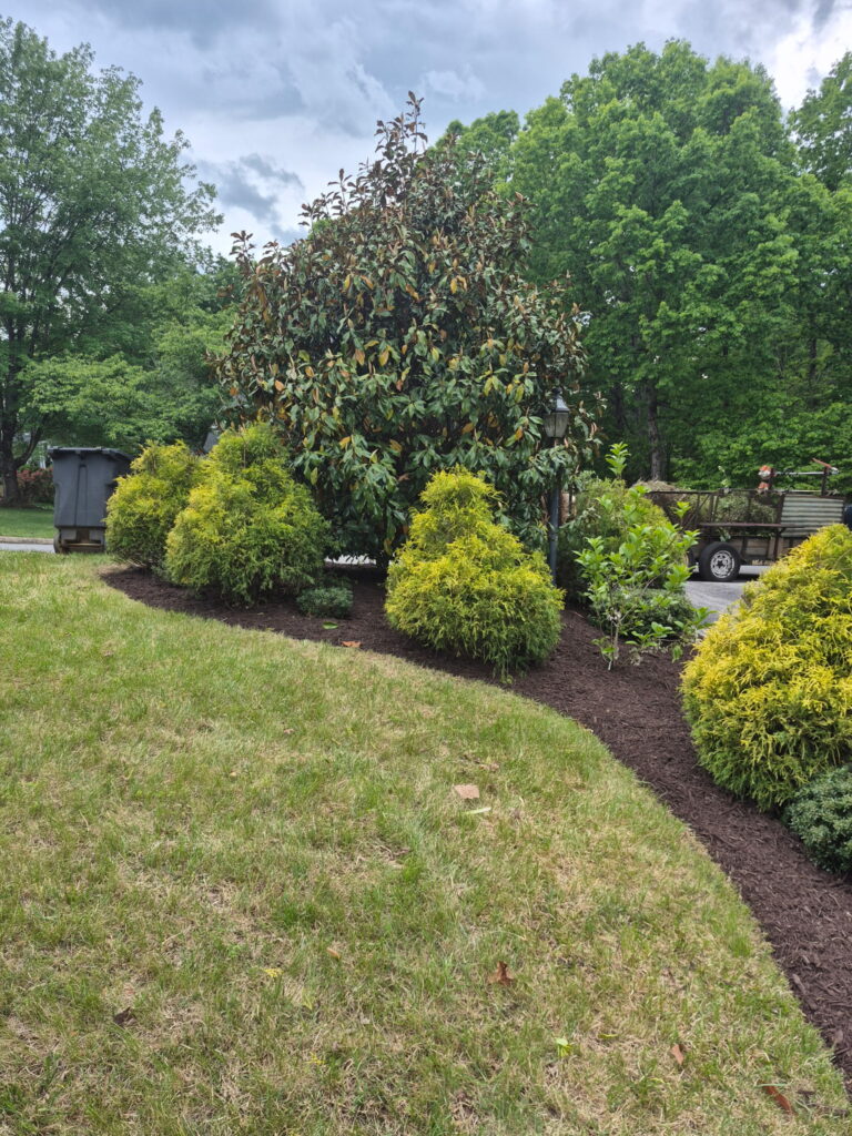 Precision lawn mowing and professional edging service in Roanoke.