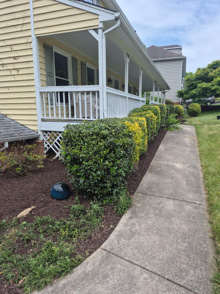 Professional fertilization and weed control treatment by Lopez Landscaping.
