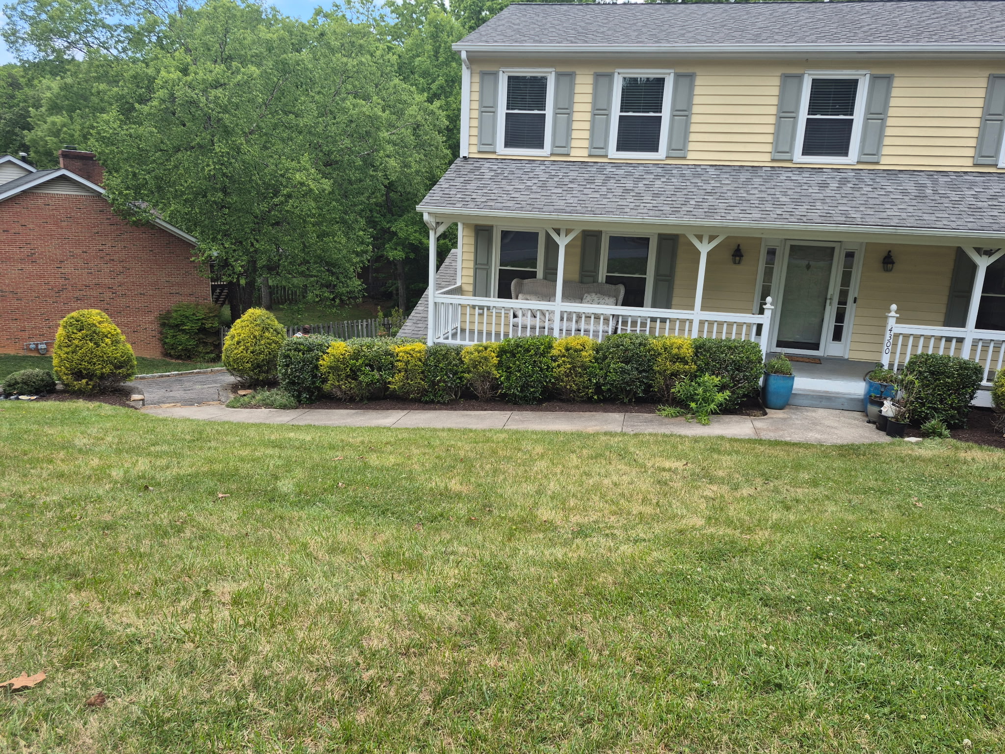 Hedge Trimming & Pruning