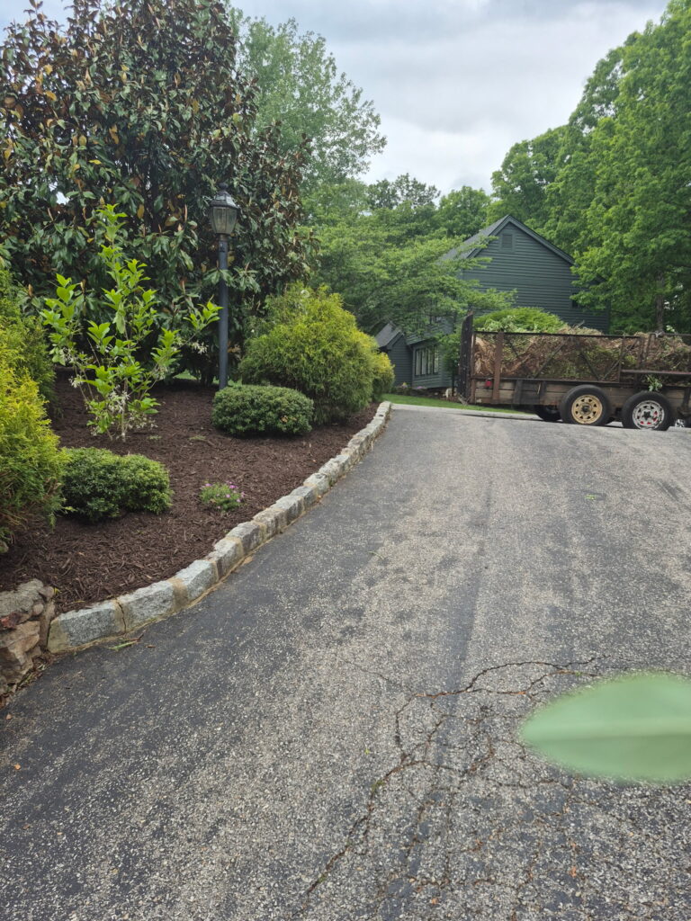 Professional fertilization and weed control treatment by Lopez Landscaping.