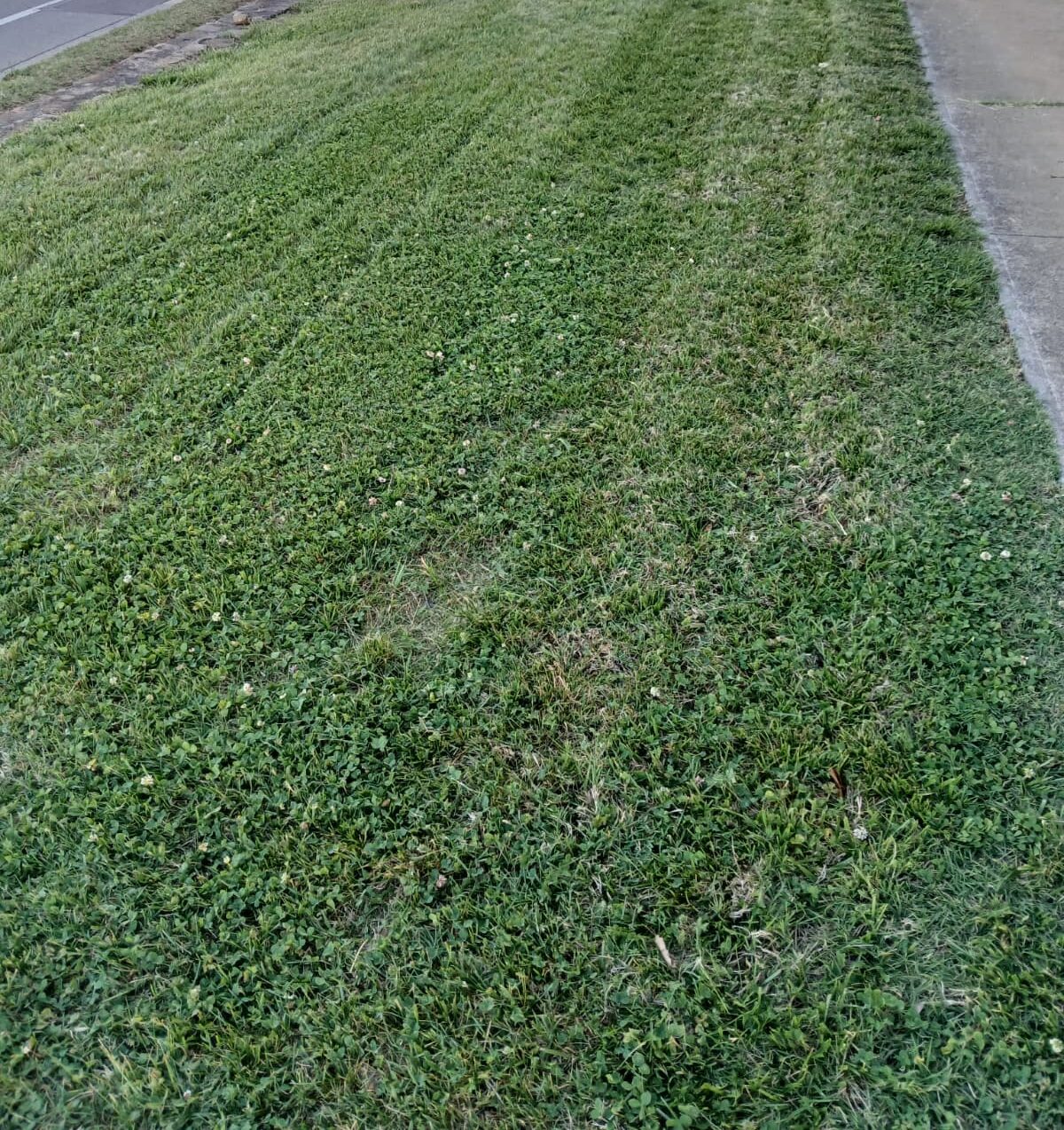 Mowing & Lawn Maintenance